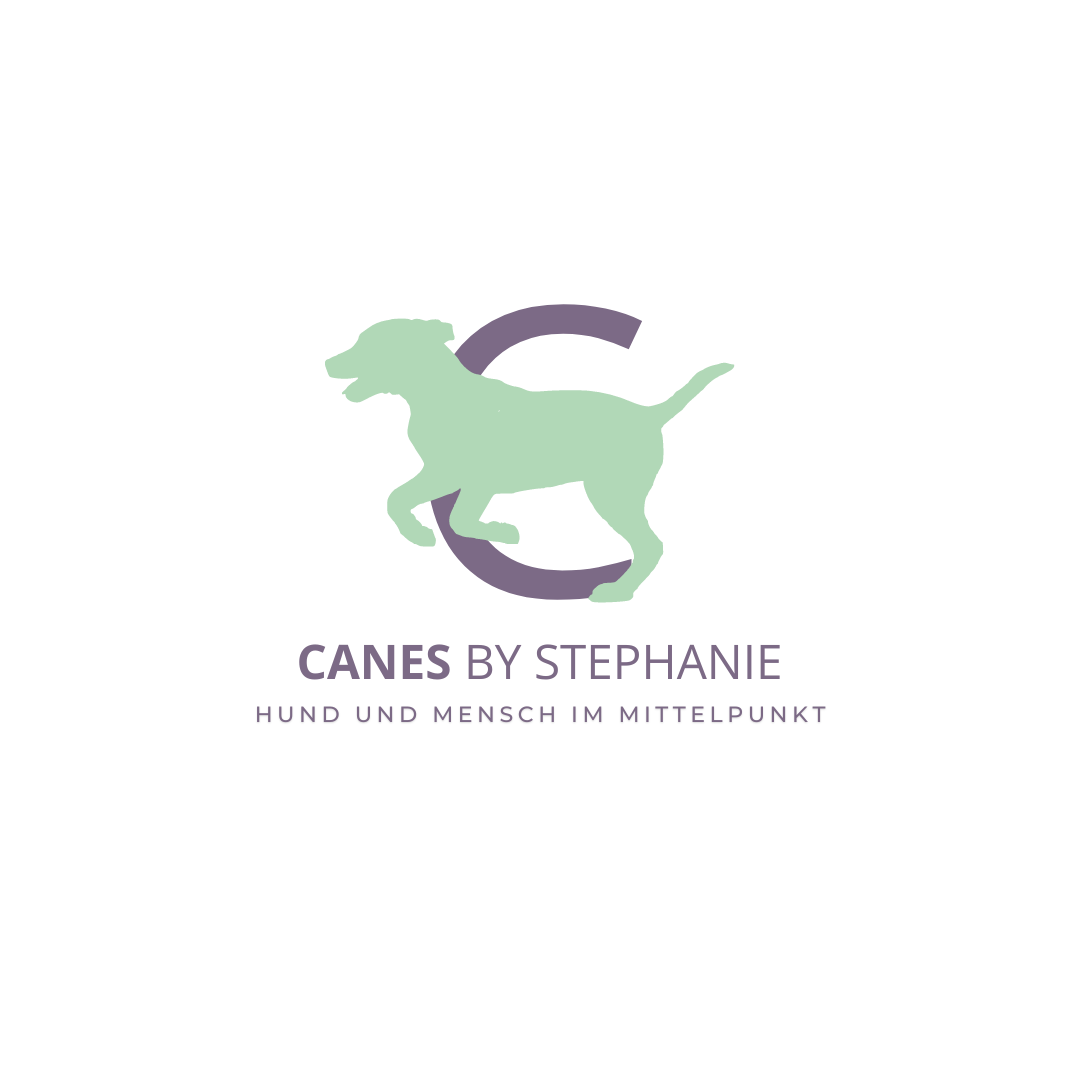 Canes by Stephanie