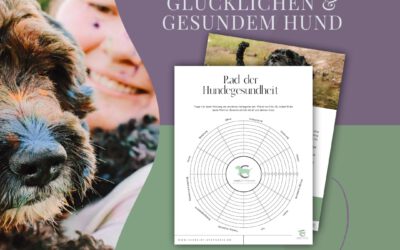 Hundegesundheit im Griff?