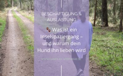 🐾 Was ist ein Inselspaziergang – und warum dein Hund ihn lieben wird
